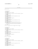 Motif-Specific and Context-Independent Antibodies That Specifically Bind     to a Cleaved Caspase Motif or a Sumoylated Lysine-Containing Motif diagram and image