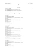 Motif-Specific and Context-Independent Antibodies That Specifically Bind     to a Cleaved Caspase Motif or a Sumoylated Lysine-Containing Motif diagram and image