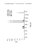 HETERODIMERS OF GLUTAMIC ACID diagram and image