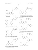 HETERODIMERS OF GLUTAMIC ACID diagram and image