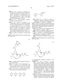 NOVEL MACROCYCLIC INHIBITORS OF HEPATITIS C VIRUS REPLICATION diagram and image