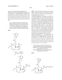 NOVEL MACROCYCLIC INHIBITORS OF HEPATITIS C VIRUS REPLICATION diagram and image