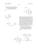 NOVEL MACROCYCLIC INHIBITORS OF HEPATITIS C VIRUS REPLICATION diagram and image