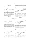 NOVEL MACROCYCLIC INHIBITORS OF HEPATITIS C VIRUS REPLICATION diagram and image