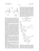 NOVEL MACROCYCLIC INHIBITORS OF HEPATITIS C VIRUS REPLICATION diagram and image