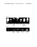 Pharmaceutical Composition for Treating or Preventing Degenerative and     Inflammatory Diseases diagram and image