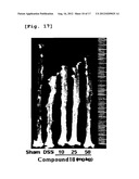 Pharmaceutical Composition for Treating or Preventing Degenerative and     Inflammatory Diseases diagram and image