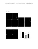 Pharmaceutical Composition for Treating or Preventing Degenerative and     Inflammatory Diseases diagram and image