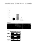 Pharmaceutical Composition for Treating or Preventing Degenerative and     Inflammatory Diseases diagram and image