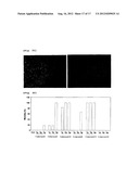 Pharmaceutical Composition for Treating or Preventing Degenerative and     Inflammatory Diseases diagram and image