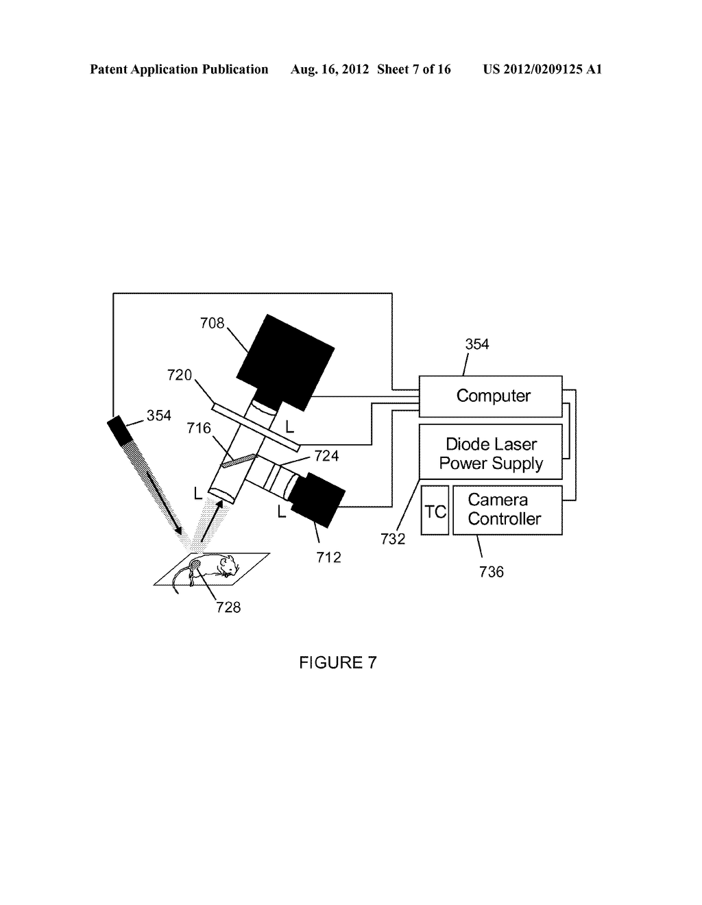 Singlet Oxygen Production and Dosimetry for Photodynamic Therapy - diagram, schematic, and image 08