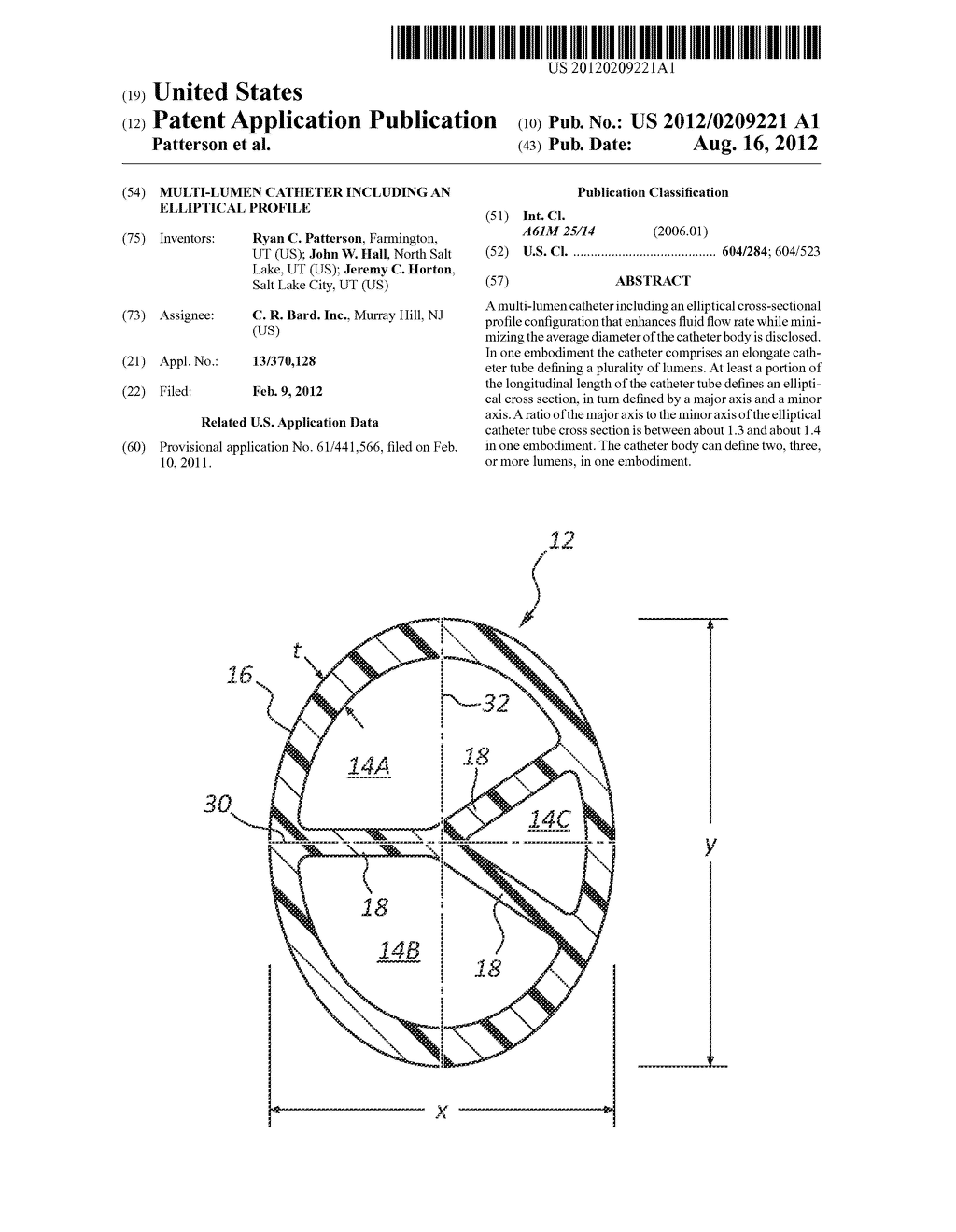 Multi-Lumen Catheter Including an Elliptical Profile - diagram, schematic, and image 01