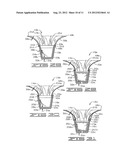 PLANT PACKAGE AND METHODS OF FORMING SAME USING A THERMOPLASTIC FLOWER POT diagram and image