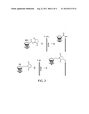 CAPACITIVE MORPHOLINO DIAGNOSTICS FOR ANALYSIS OF NUCLEIC ACIDS diagram and image