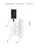 BAGGAGE HANDLING SYSTEM AND METHOD diagram and image