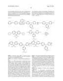 POLYMER LIGHT-EMITTING DEVICE diagram and image