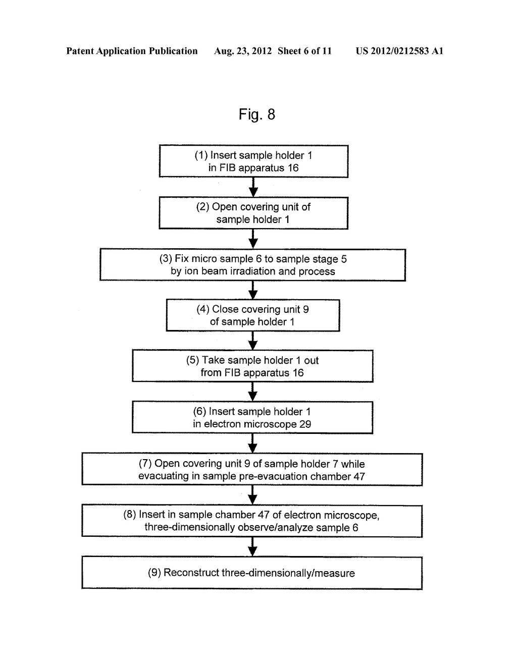 Charged Particle Radiation Apparatus, and Method for Displaying     Three-Dimensional Information in Charged Particle Radiation Apparatus - diagram, schematic, and image 07