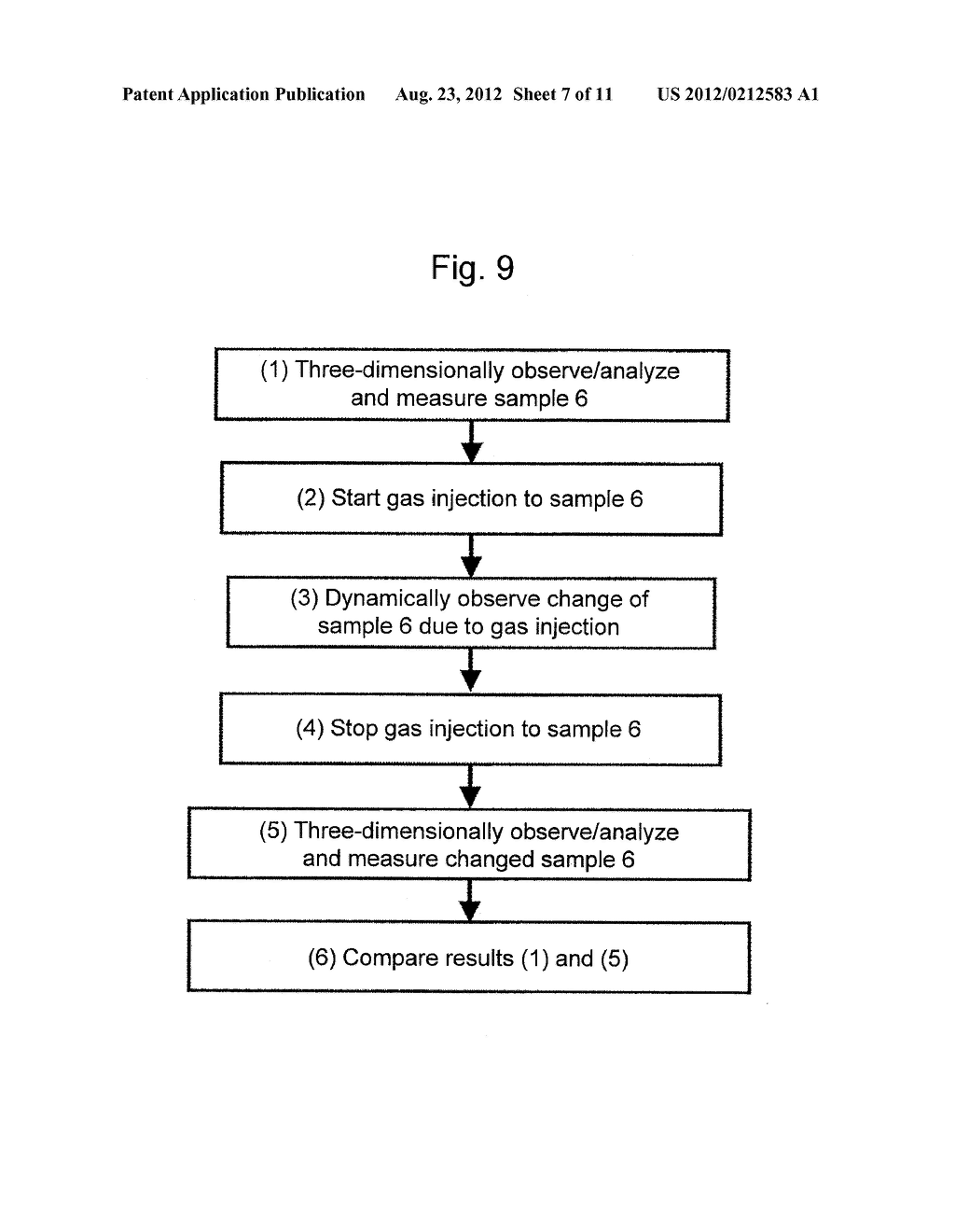 Charged Particle Radiation Apparatus, and Method for Displaying     Three-Dimensional Information in Charged Particle Radiation Apparatus - diagram, schematic, and image 08