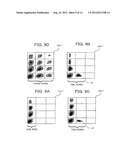 PROJECTION TYPE DISPLAY APPARATUS FOR DISPLAYING AN IMAGE diagram and image