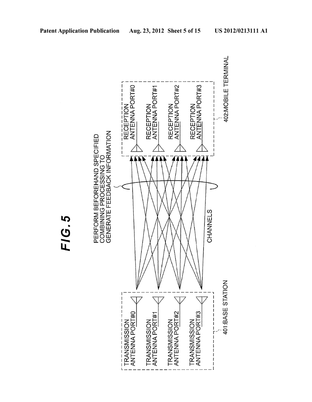 WIRELESS COMMUNICATION SYSTEM, COMMUNICATION APPARATUS, WIRELESS     COMMUNICATION METHOD AND TERMINAL APPARATUS - diagram, schematic, and image 06