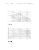 DECODER-SIDE REGION OF INTEREST VIDEO PROCESSING diagram and image