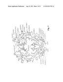 ENGINEERED Fc REGIONS FOR SITE-SPECIFIC CONJUGATION diagram and image