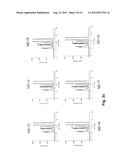 ENGINEERED Fc REGIONS FOR SITE-SPECIFIC CONJUGATION diagram and image