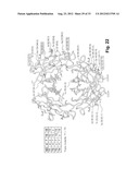 ENGINEERED Fc REGIONS FOR SITE-SPECIFIC CONJUGATION diagram and image