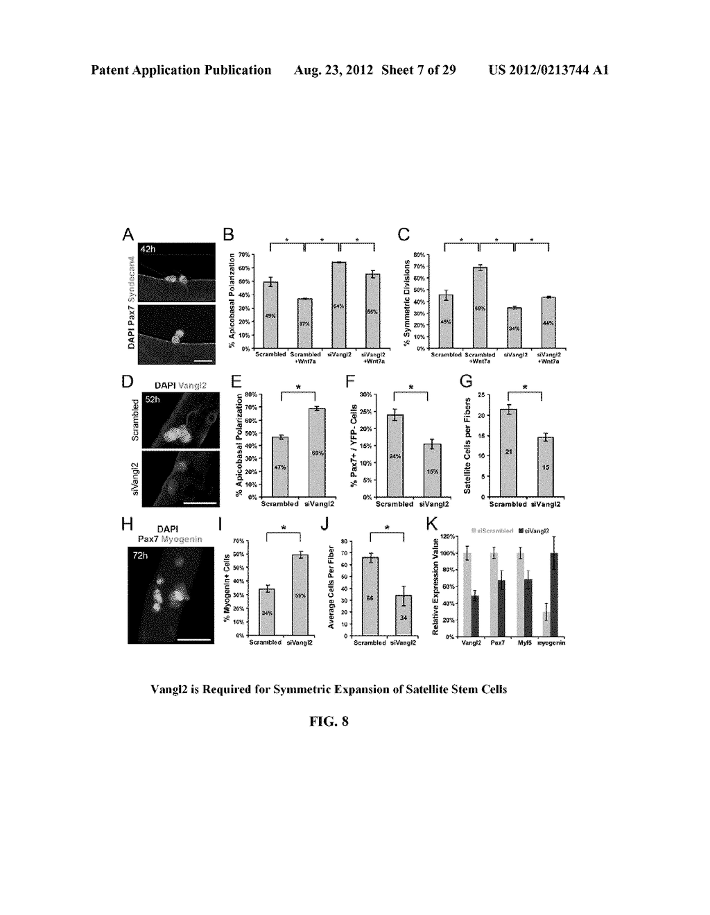 COMPOSITIONS AND METHODS FOR MODULATING STEM CELLS AND USES THEREOF - diagram, schematic, and image 08