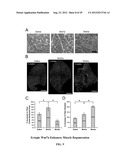 COMPOSITIONS AND METHODS FOR MODULATING STEM CELLS AND USES THEREOF diagram and image