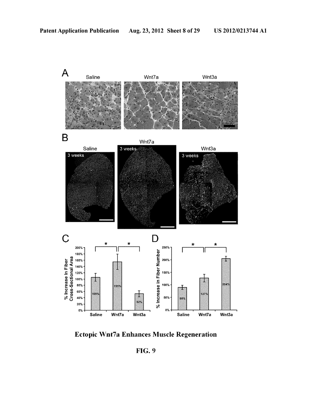 COMPOSITIONS AND METHODS FOR MODULATING STEM CELLS AND USES THEREOF - diagram, schematic, and image 09