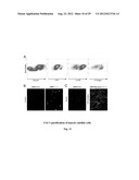 COMPOSITIONS AND METHODS FOR MODULATING STEM CELLS AND USES THEREOF diagram and image