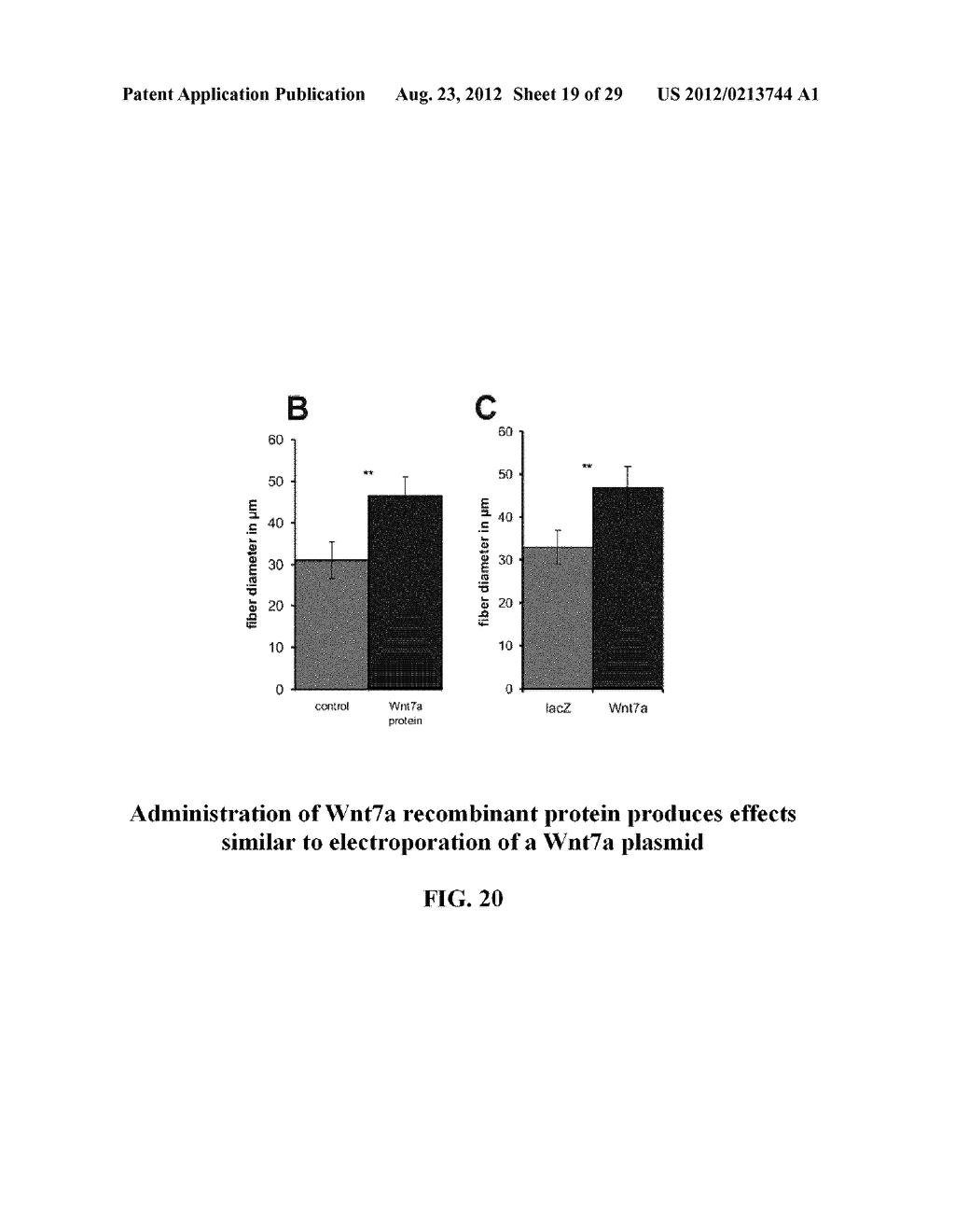 COMPOSITIONS AND METHODS FOR MODULATING STEM CELLS AND USES THEREOF - diagram, schematic, and image 20