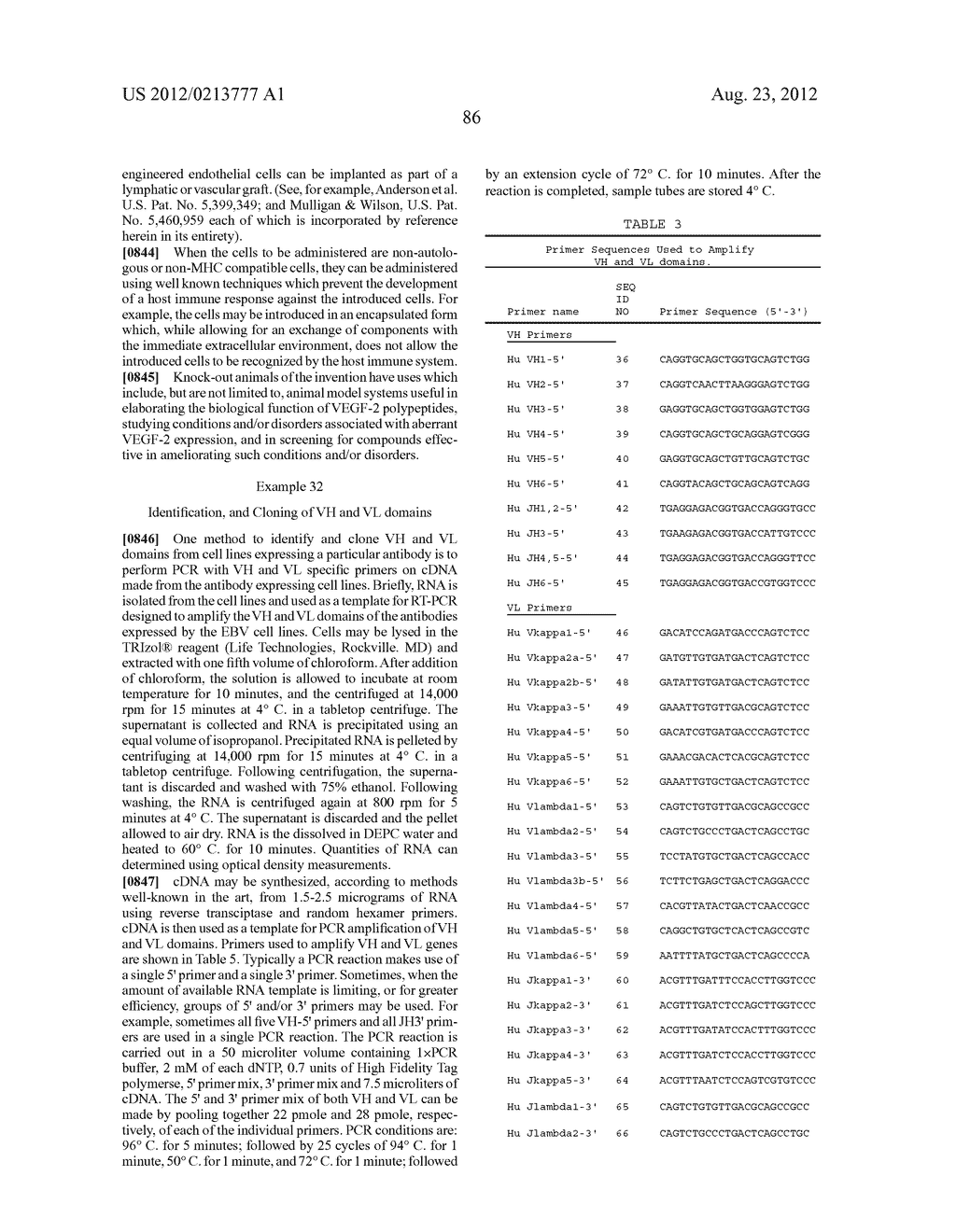 VASCULAR ENDOTHELIAL GROWTH FACTOR 2 - diagram, schematic, and image 140