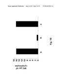 ALPHAVIRUS REPLICON PARTICLES AS IMMUNOLOGICAL ADJUVANTS diagram and image