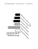 ALPHAVIRUS REPLICON PARTICLES AS IMMUNOLOGICAL ADJUVANTS diagram and image