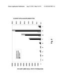 ALPHAVIRUS REPLICON PARTICLES AS IMMUNOLOGICAL ADJUVANTS diagram and image