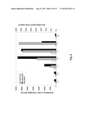 ALPHAVIRUS REPLICON PARTICLES AS IMMUNOLOGICAL ADJUVANTS diagram and image