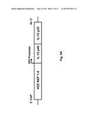 ALPHAVIRUS REPLICON PARTICLES AS IMMUNOLOGICAL ADJUVANTS diagram and image