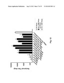 ALPHAVIRUS REPLICON PARTICLES AS IMMUNOLOGICAL ADJUVANTS diagram and image