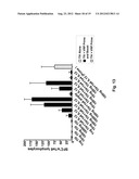 ALPHAVIRUS REPLICON PARTICLES AS IMMUNOLOGICAL ADJUVANTS diagram and image