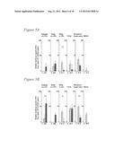 ADENOVIRUS VACCINE VECTOR AND METHODS OF USE diagram and image