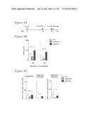 ADENOVIRUS VACCINE VECTOR AND METHODS OF USE diagram and image