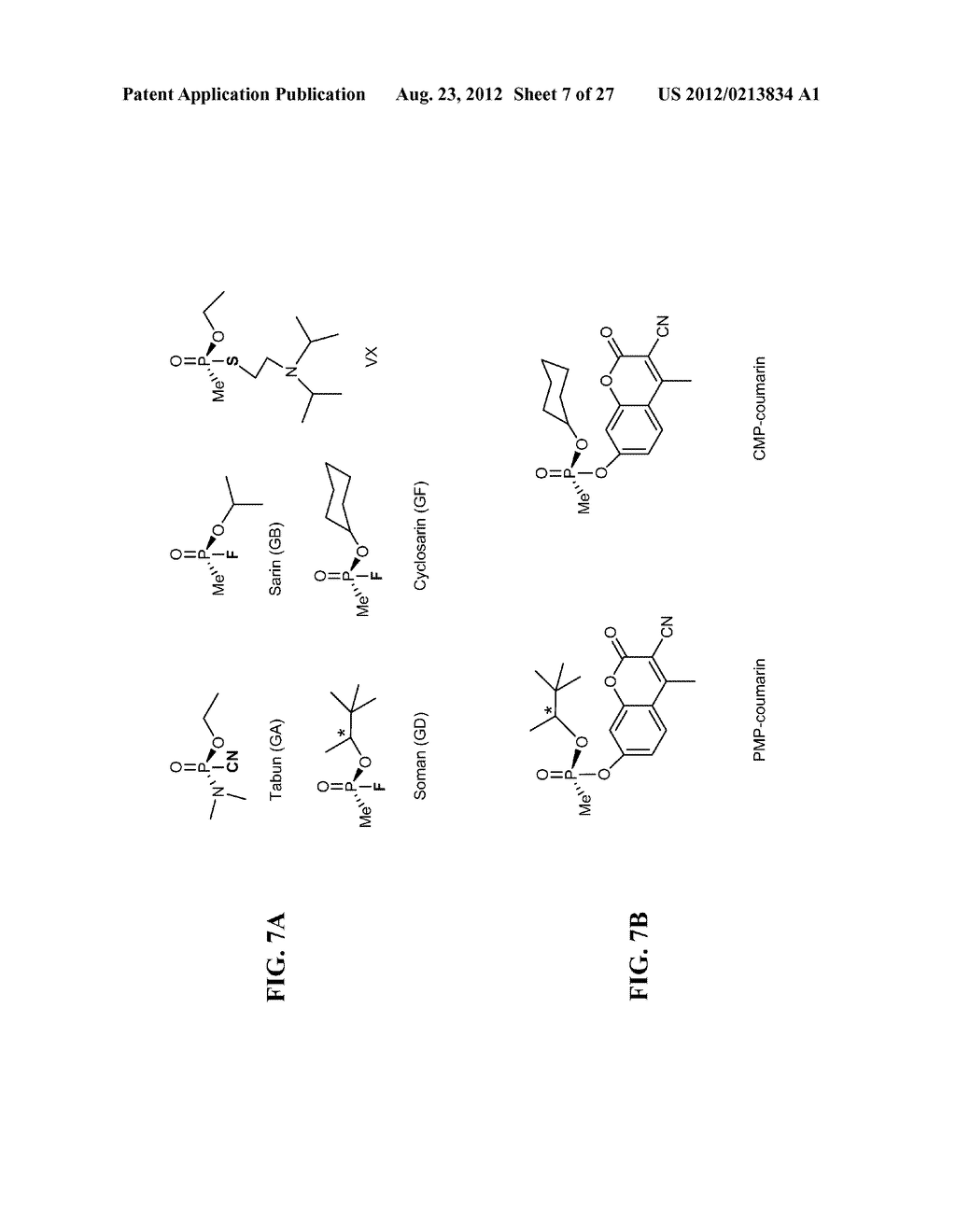 ISOLATED PON1 POLYPEPTIDES, POLYNUCLEOTIDES ENCODING SAME AND USES THEREOF     IN TREATING OR PREVENTING ORGANOPHOSPHATE EXPOSURE ASSOCIATED DAMAGE - diagram, schematic, and image 08