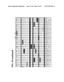 ISOLATED PON1 POLYPEPTIDES, POLYNUCLEOTIDES ENCODING SAME AND USES THEREOF     IN TREATING OR PREVENTING ORGANOPHOSPHATE EXPOSURE ASSOCIATED DAMAGE diagram and image