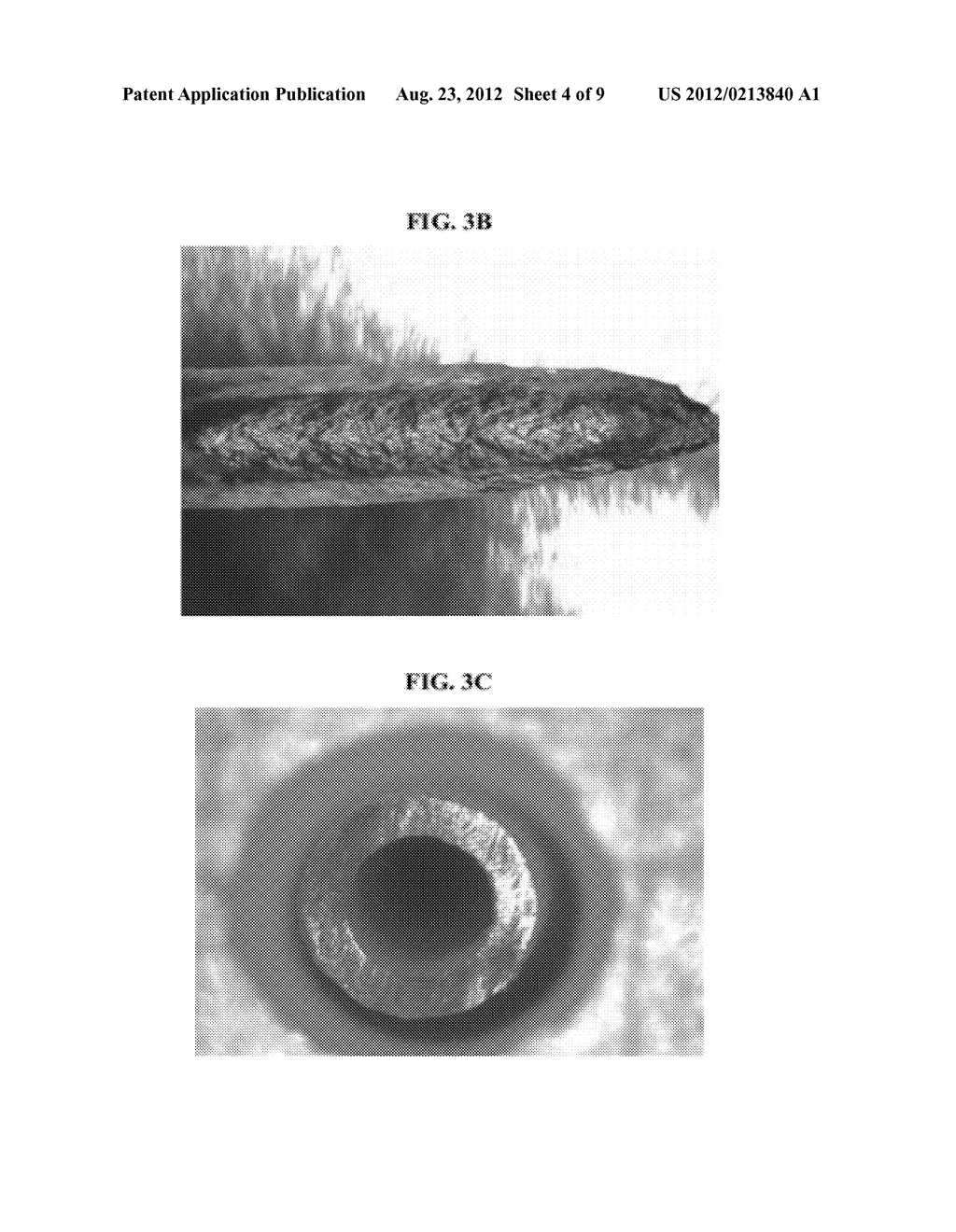 OCULAR STRIPS - diagram, schematic, and image 05