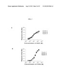 LIPOSOME COMPOSITION FOR TARGETING EGFR RECEPTOR diagram and image