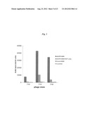 LIPOSOME COMPOSITION FOR TARGETING EGFR RECEPTOR diagram and image