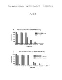 LIPOSOME COMPOSITION FOR TARGETING EGFR RECEPTOR diagram and image