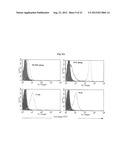 LIPOSOME COMPOSITION FOR TARGETING EGFR RECEPTOR diagram and image